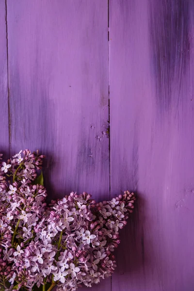 Primavera Lilla Uno Sfondo Legno Viola — Foto Stock