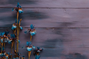 Ahşap menekşe arkaplanda bir gül çiçeği