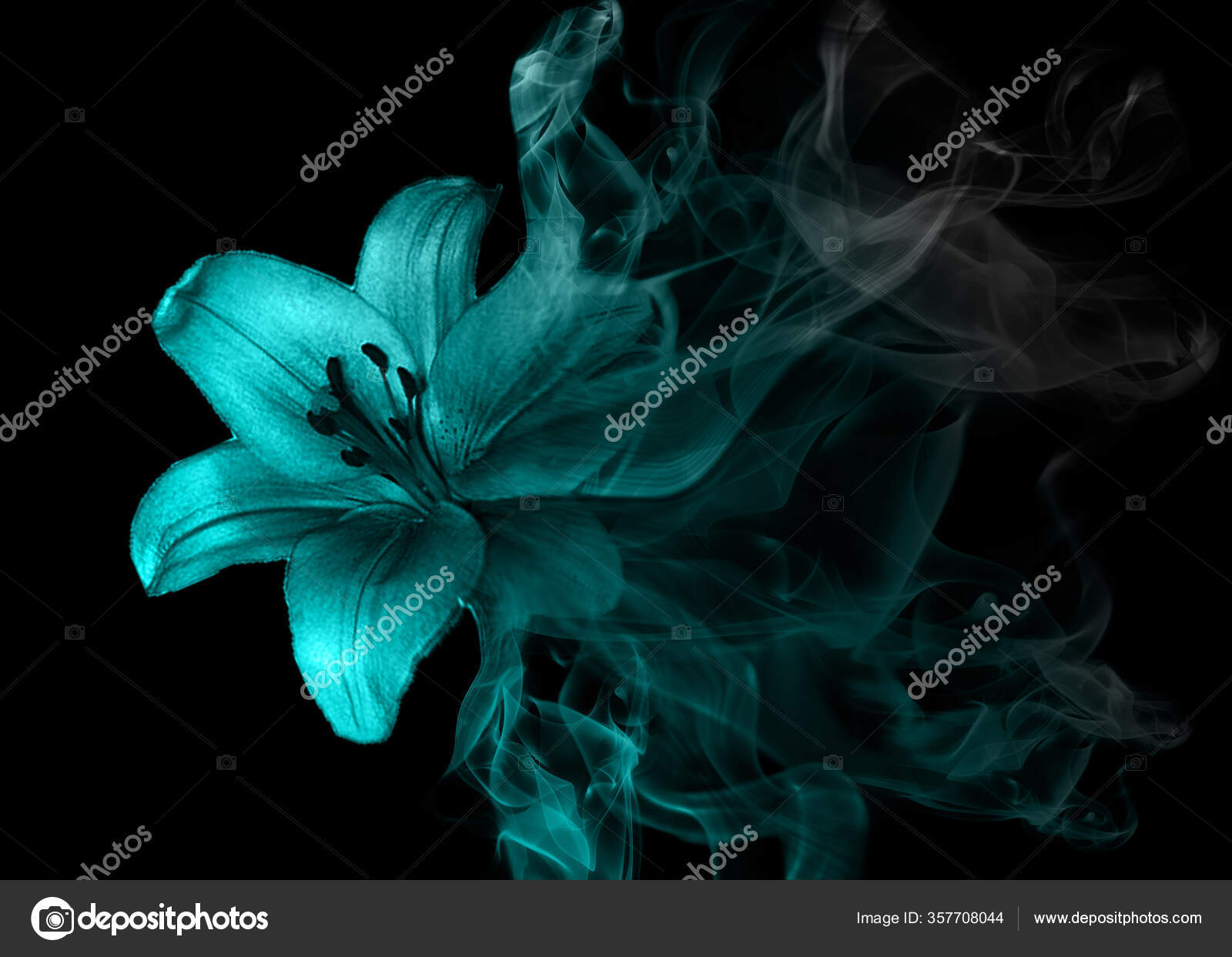 Beautiful Lily Flower Smoke Stock Photo by 357708044