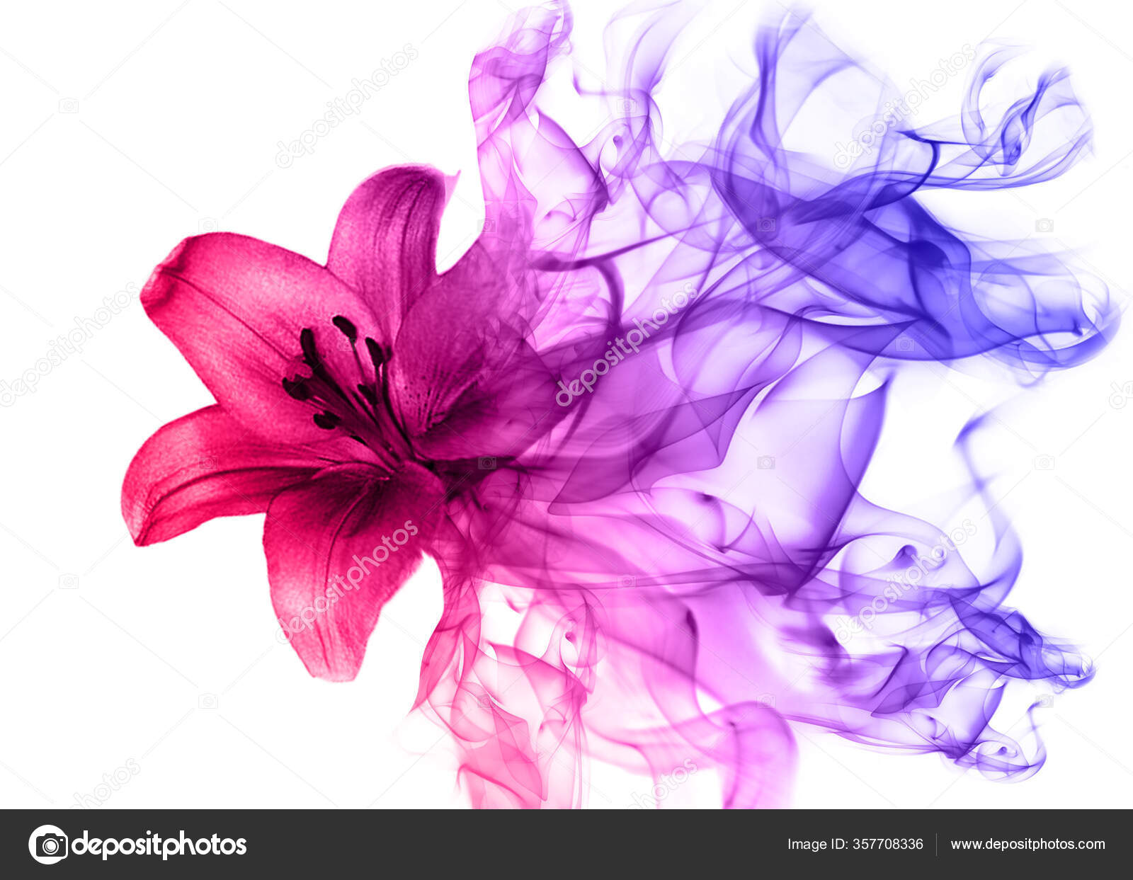 Beautiful Lily Flower Smoke Stock Photo by 357708336