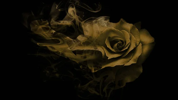 Krásný Sladký Kouř Stoupal — Stock fotografie