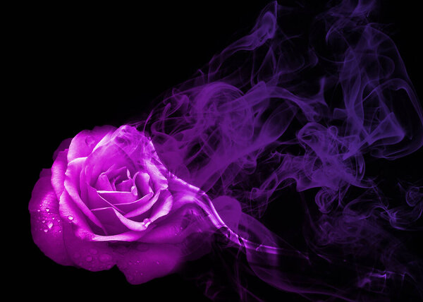 Beautiful and sweet smoke rose from
