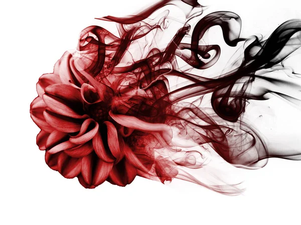 Krásná Sladká Květina Hustého Kouře — Stock fotografie