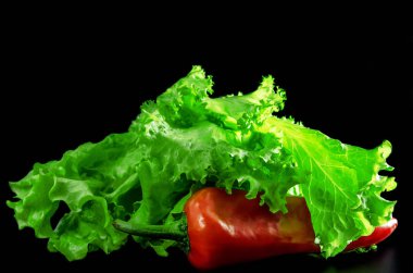 Kırmızı biber kapi marul yaprakları altında yatıyor.