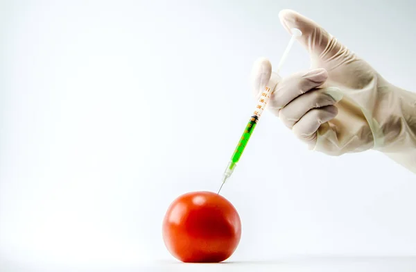 Proces wprowadzania specjalny lek dla wczesnego dojrzewania w pomidor. — Zdjęcie stockowe
