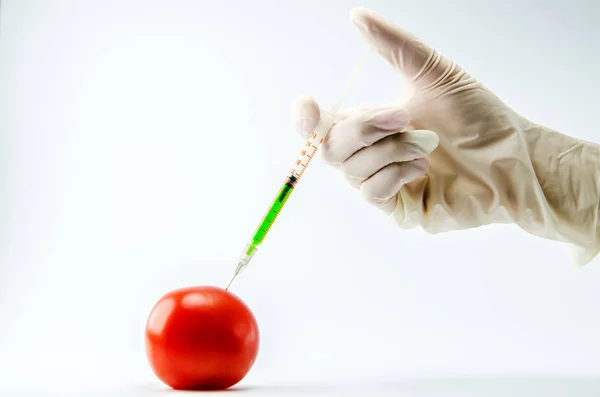 Der Prozess der Einführung eines speziellen Medikaments zur frühen Reifung in Tomaten. — Stockfoto