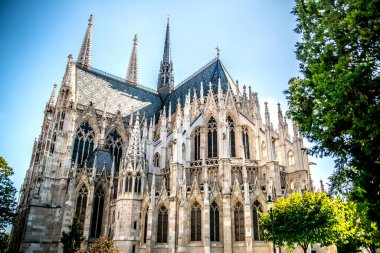 Yeşil ağaçların arasındaki Votivkirche kilisesi. Viyana. Avusturya