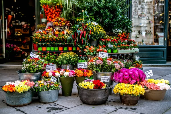 Street shop with flowers. Vienna. Austria