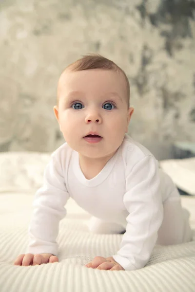 Beyaz Ekoseli Mavi Gözlü Çocuk Kameraya Bakıyor — Stok fotoğraf