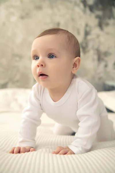 Niño Pequeño Con Ojos Azules Una Tela Cuadros Blanca —  Fotos de Stock