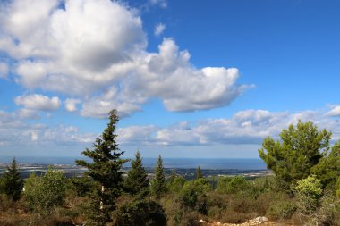 Sabah İsrail kuzeyinde dağlarda 