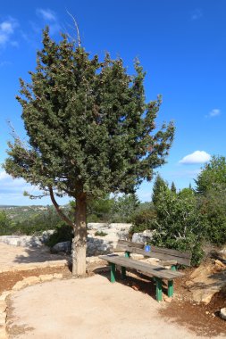 Sabah İsrail kuzeyinde dağlarda 