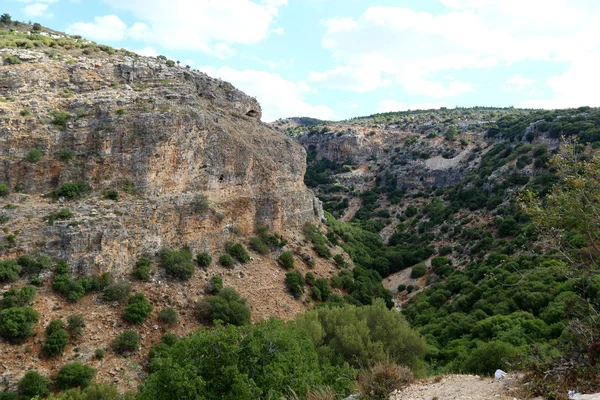 Matin dans les montagnes au nord d'Israël — Photo