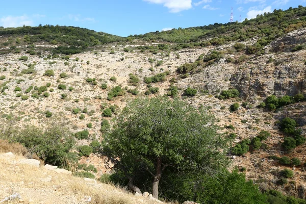 Matin dans les montagnes au nord d'Israël — Photo