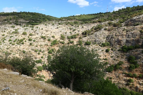 Morning in the mountains in the north of Israel — Stock Photo, Image