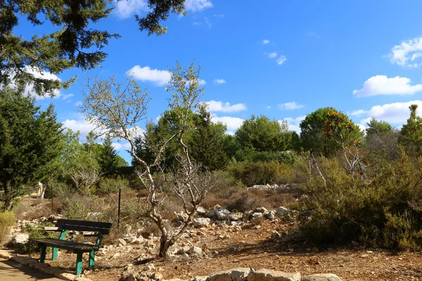 Mattina sulle montagne nel nord di Israele — Foto Stock