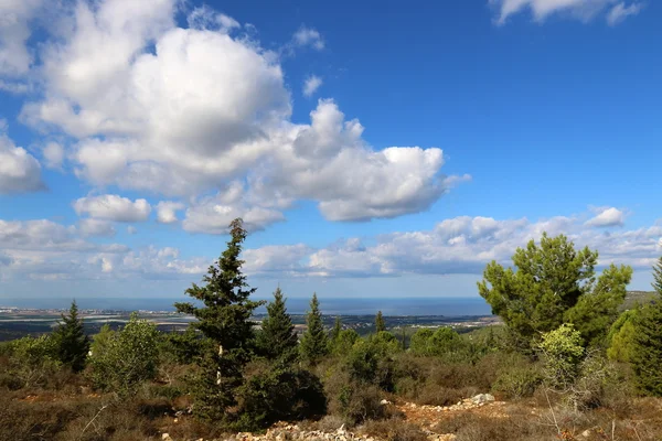 イスラエル共和国の北の山の朝 — ストック写真