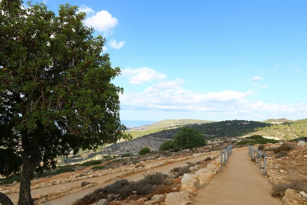 Sabah İsrail kuzeyinde dağlarda 