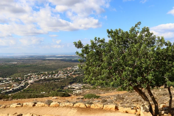 Sabah İsrail kuzeyinde dağlarda 