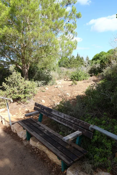 Sabah İsrail kuzeyinde dağlarda 