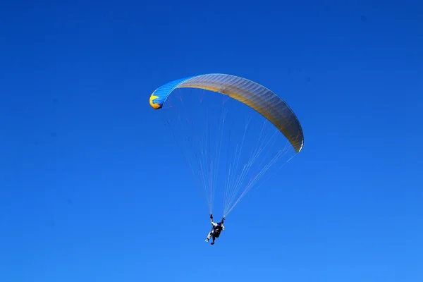 Flygande på vingen — Stockfoto