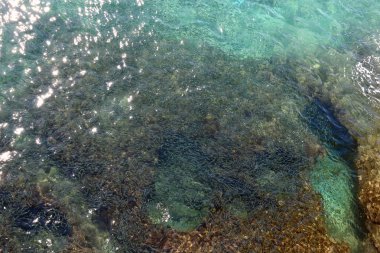 Acre eski kale deniz üzerinde 