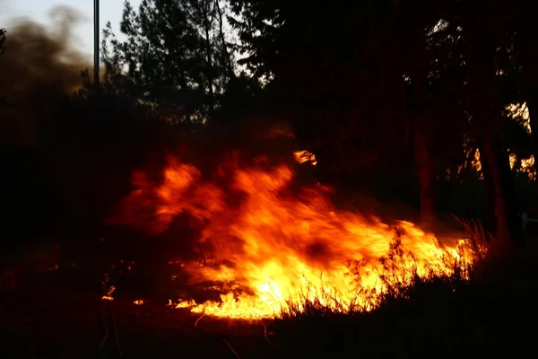 Lit a large fire — Stock Photo, Image