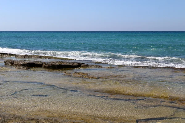 Orilla del Mar Mediterráneo —  Fotos de Stock