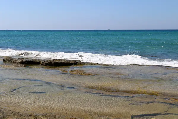 Côte De La Mer Méditerranéenne — Photo