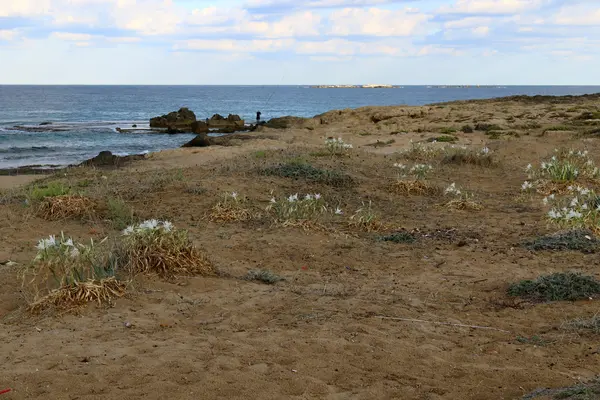Stranden av Medelhavet — Stockfoto
