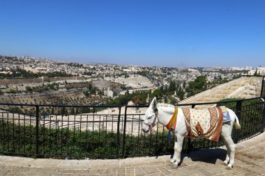 Antik Jerusalem yürümek 