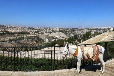 Antik Jerusalem yürümek 