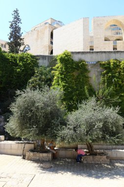 Antik Jerusalem yürümek 