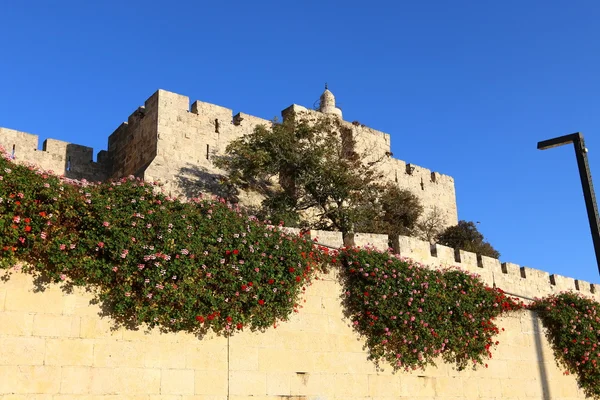 古代エルサレムを歩く — ストック写真