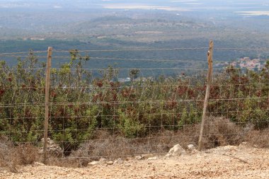 her zaman Sınırdaki telleri 