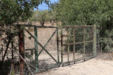 her zaman Sınırdaki telleri 