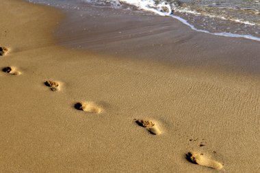 Kumda ayak izleri 