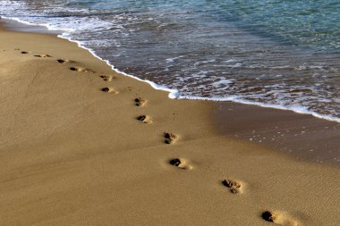 Kumda ayak izleri 
