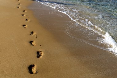 Kumda ayak izleri 