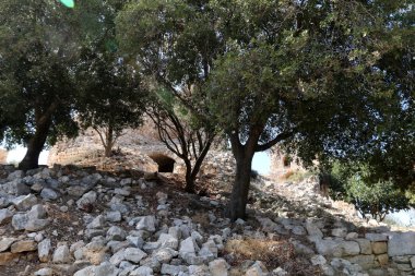Antik kale Yehiam 