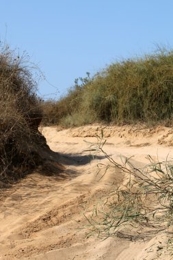 mesafe içine yol açar 