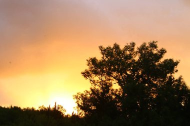 Dağlarda gün doğumu 