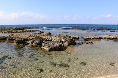 Akdeniz kıyısında 