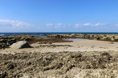 Akdeniz kıyısında 