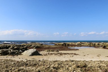 Akdeniz kıyısında 