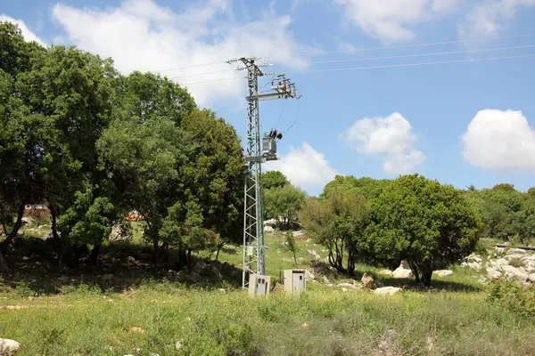 kablolama için destek 