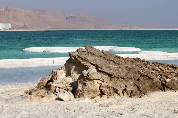 Beach of the Dead - Sea of Sodom — Stock Photo, Image