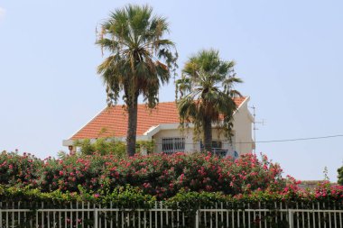 çatı - üst Bina İnşaatı 