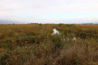 Göl Hula, göçmen kuşlar 