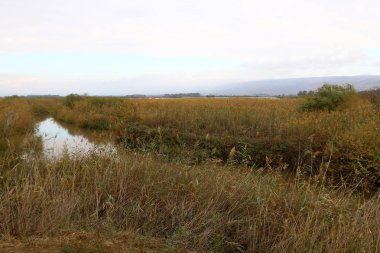 Göl Hula, göçmen kuşlar 